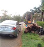 xe tự lái 4 chỗ số tự động huynhdai sonata