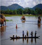 Tour Đak Lak-Gia Lai-Kon Tum-Măng Đen 5N4Đ