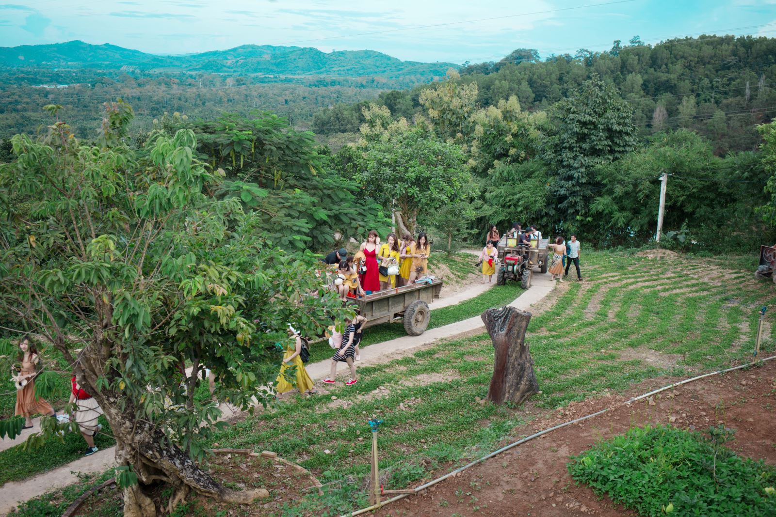 BUON MA THUOT – COFFEE FARMS