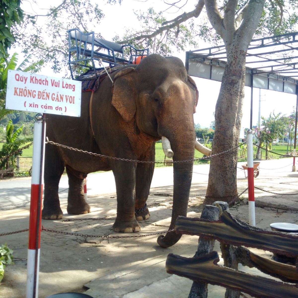 Hồ Lăk  Nơi Tả Ngoạn Tuyệt Vời